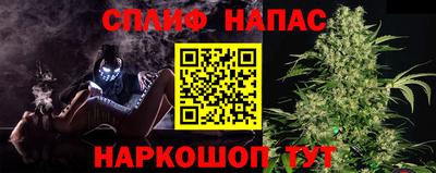 сатива Кулебаки