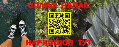 сатива Кулебаки